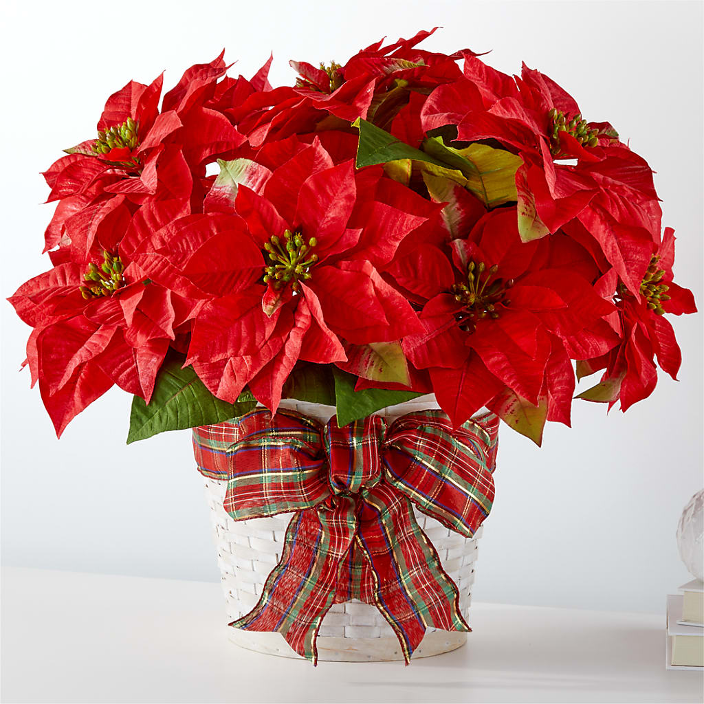 Happiest Holidays Poinsettia – Brea Florist, Brea CA