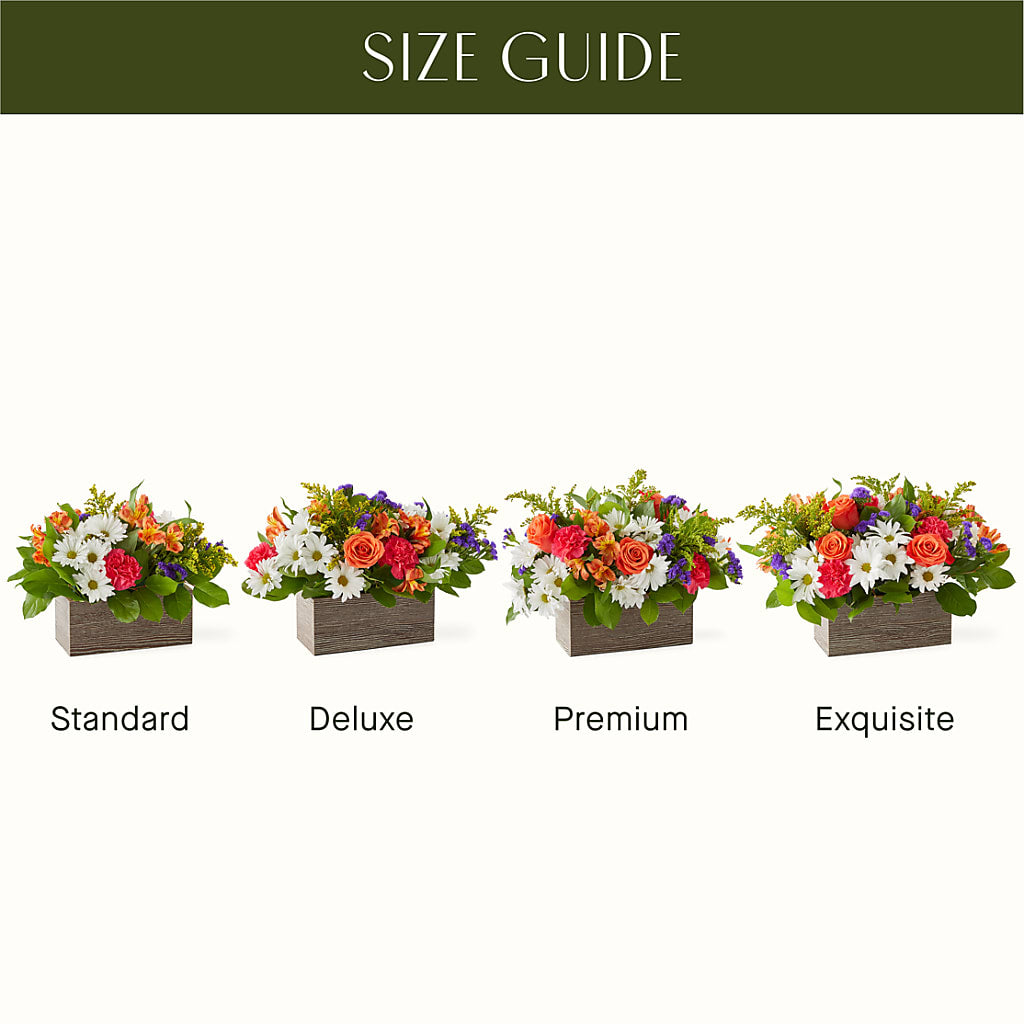 Oopsie Daisy Box Bouquet – Brea Florist, Brea CA