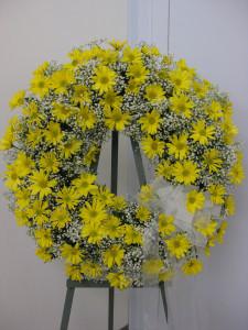 Daisy of Mine