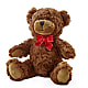 Adorable Plush Bear –  Brea Florist, Brea CA