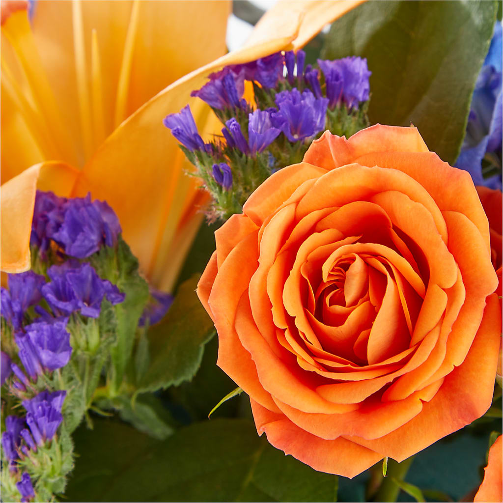 Radiant Citrus Box Bouquet –  Brea Florist, Brea CA