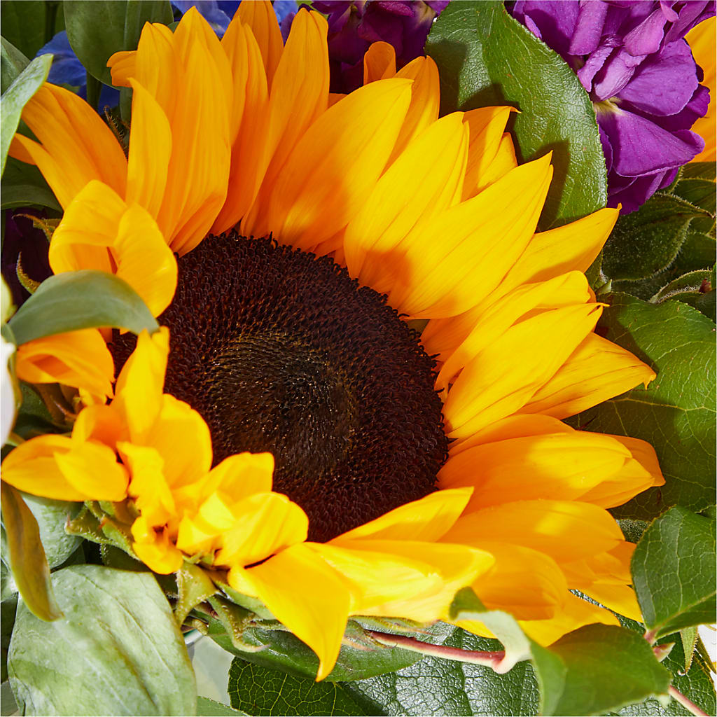 Catching Rays Bouquet –  Brea Florist, Brea CA