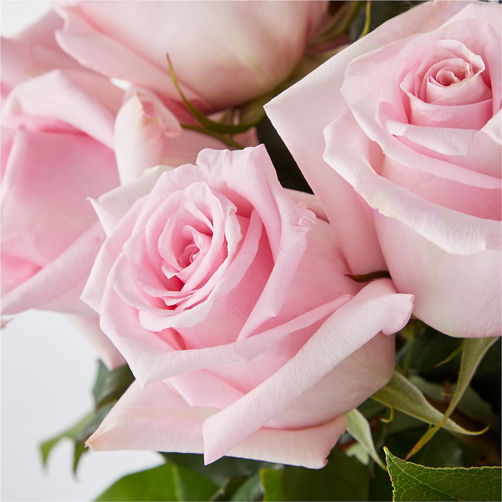 Picture Perfect Pink Rose Bouquet –  Brea Florist, Brea CA
